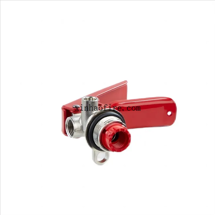 1kg CE Dry Powder Fire Extinguisher Valve