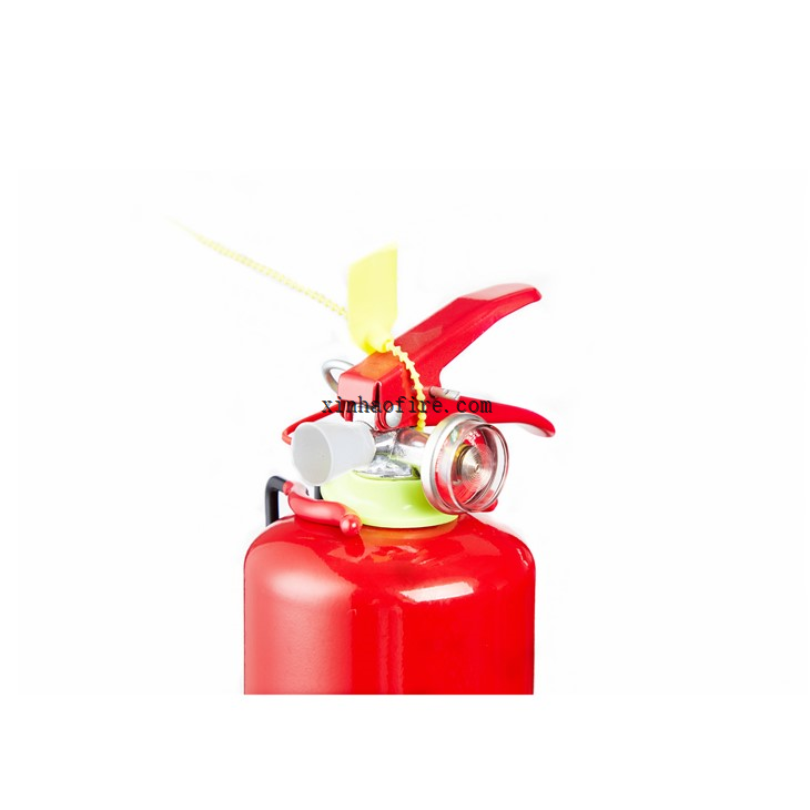 5lb Fire Extinguisher