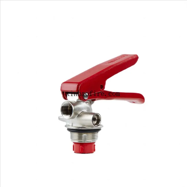 1kg CE Dry Powder Fire Extinguisher Valve