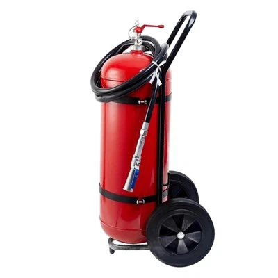 Extintor de fuego en polvo seco en el carro